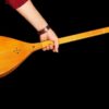 Персидский дутар мастера Акбари, высокое качество