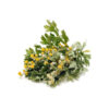 Полынь сушёная (Artemisia absinthium) – 600 г, премиальная горькая трава