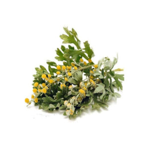 Полынь сушёная (Artemisia absinthium) – 600 г, премиальная горькая трава