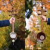 Персидская каманча Байджалаванд – Модель Пбаз