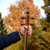 Персидская каманча Байджалаванд – Модель Пбаз