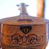 Иранский сетар — ручная работа Iransaz, модель «Берна» (уровень эксперта)