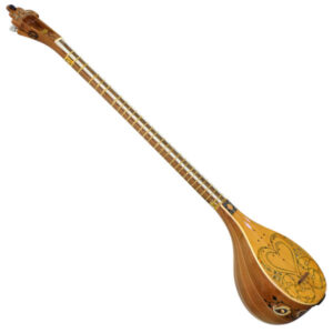 Персидский сетар от Iransaz, модель «Шаян» (для профессионалов)