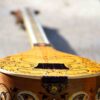 Персидский сетар от Iransaz, модель «Шаян» (для профессионалов)