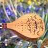 Иранский сетар — ручная работа Iransaz, модель «Берна» (уровень эксперта)