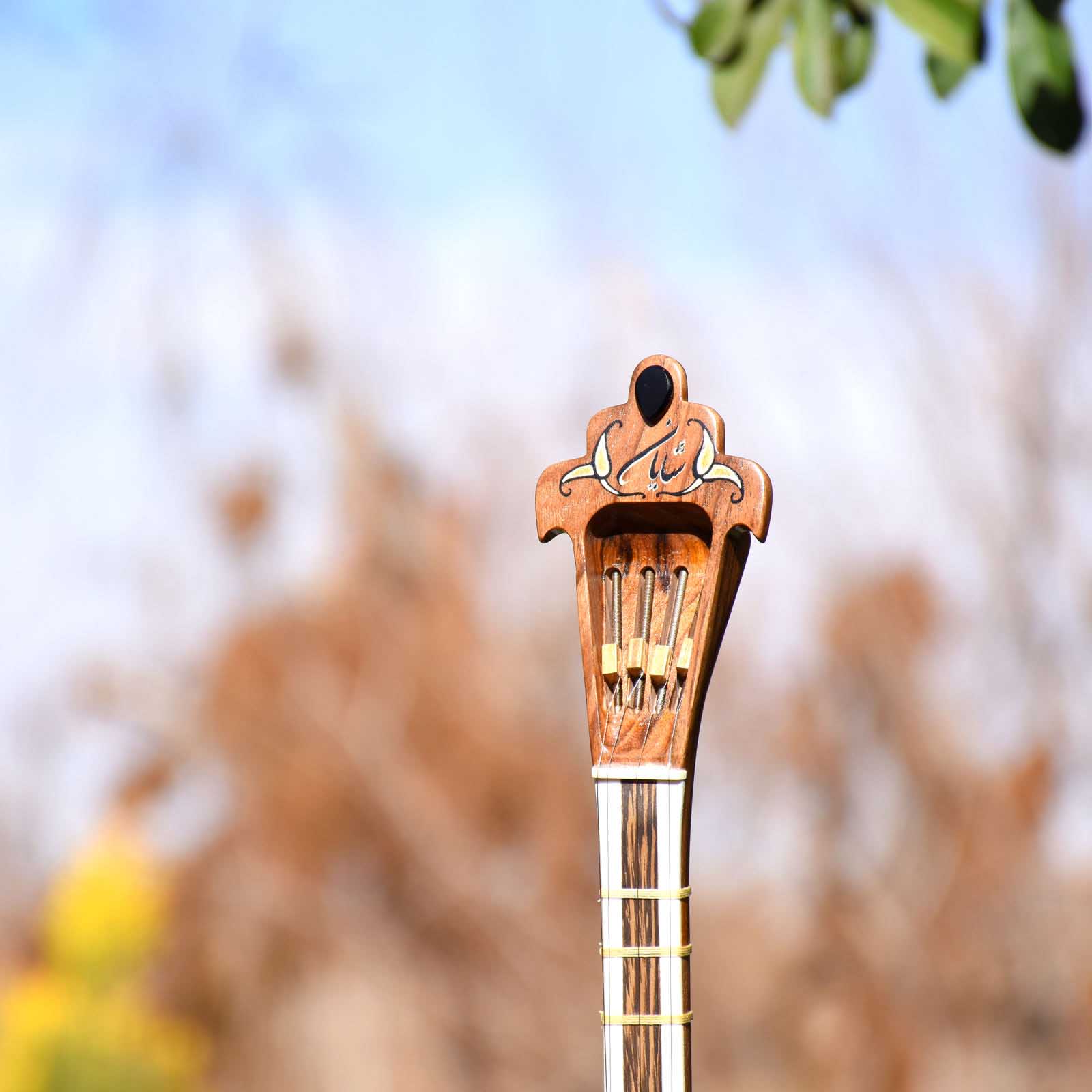Персидский сетар от Iransaz, модель «Шаян» (для профессионалов)