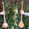 Персидский сетар от IranSaz, модель «Тарнам» (для экспертов)