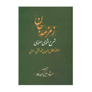 Книга «Земземе-е Джан. Толкование Маснави Руми» (в 3 томах)