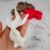 Красная силиконовая форма «Рыба»