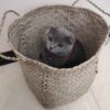 Круглые корзины из пальмового листа — набор 3 шт.