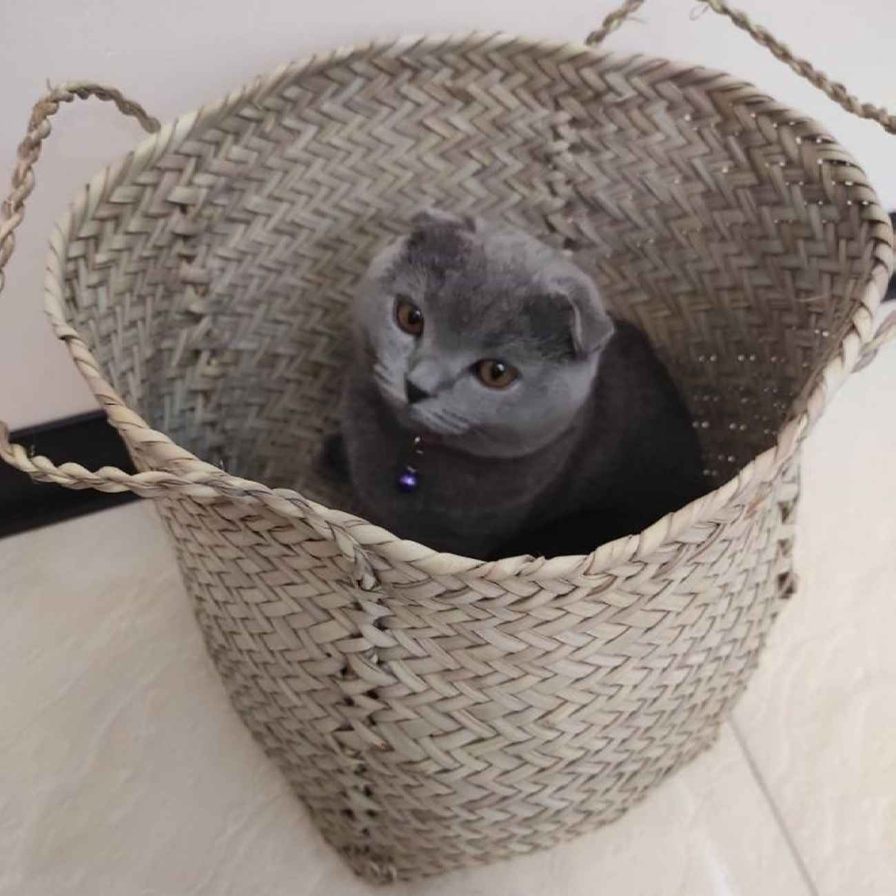 Круглые корзины из пальмового листа — набор 3 шт.