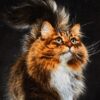 Персидский ковёр с изображением кошки из Тебриза, ручная узловая техника