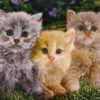 Персидский настенный ковер из Тебриза — «Котята»