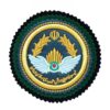 Нашивка ВВС армии Ирана на замшевой основе