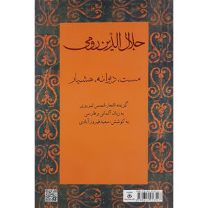 Стихи Шамса Табризи (персидский и немецкий)