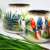 Colorful Enamel Kettle and Teapot Combo – Suitable for Daily Use or Decor (1)