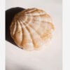 Seashell-Shaped Resin Jewelry Holder for Rings, Earrings, and Small Accessories (2)