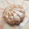 Seashell-Shaped Resin Jewelry Holder for Rings, Earrings, and Small Accessories (3)