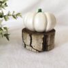 Decorative Pumpkin Ornament Suitable for Mantel and Table Settings, (Set of 2) (2)